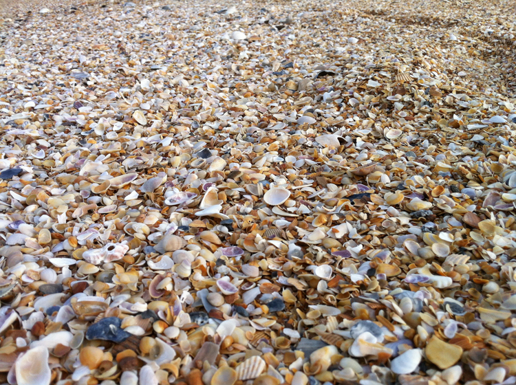 St. Augustine, Florida - A Lesson in History That Kids Will Love