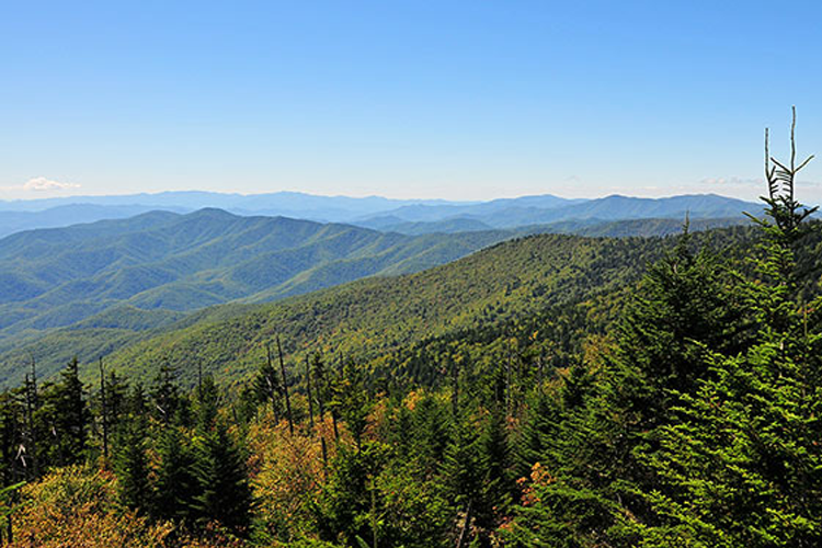 Planning to visit a national park? SheBuysTravel has tips to keep your family safe on your next adventure.