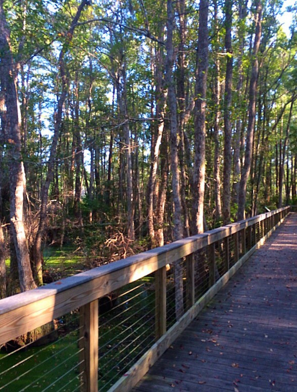 Looking for more free fun things to do in Panama City Beach?