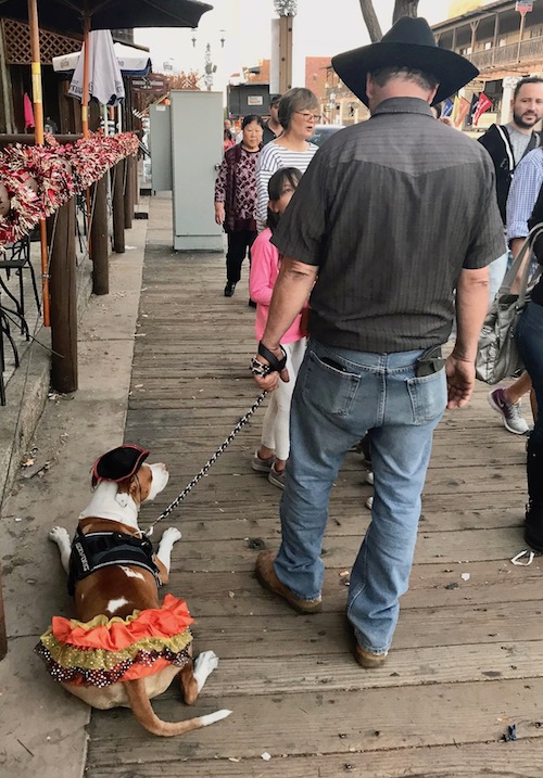 A man and his dog explore Old Town Temecula CA