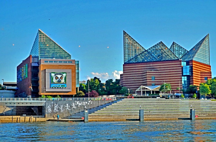 Education experience for all ages awaits at Tennessee Aquarium in Chattanooga
