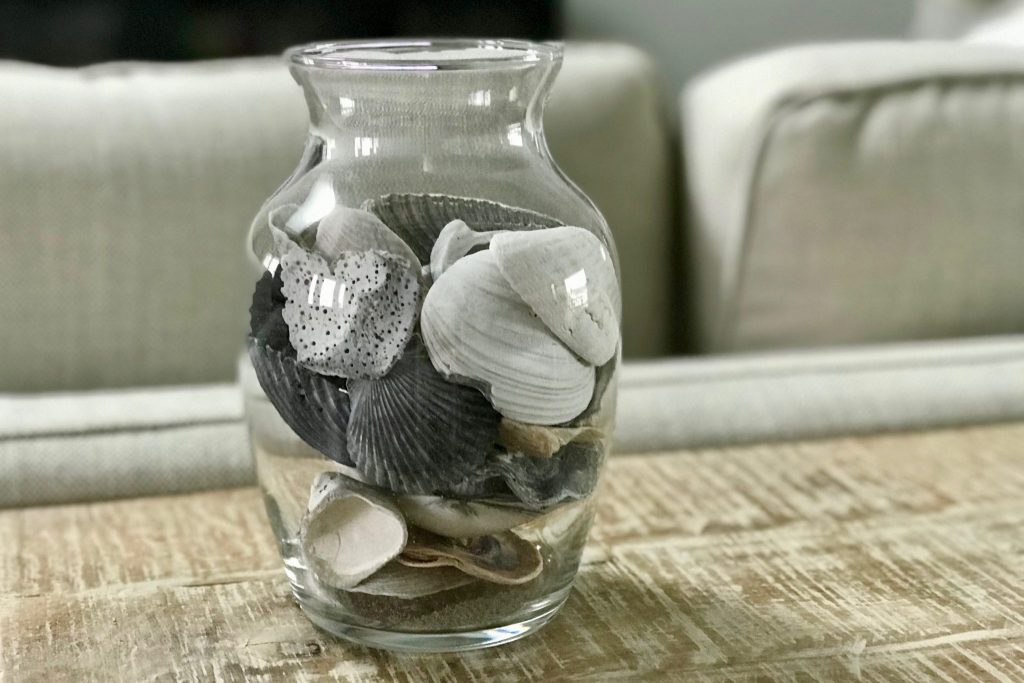 How to Clean Seashells After Your Beach Trip | SheBuysTravel