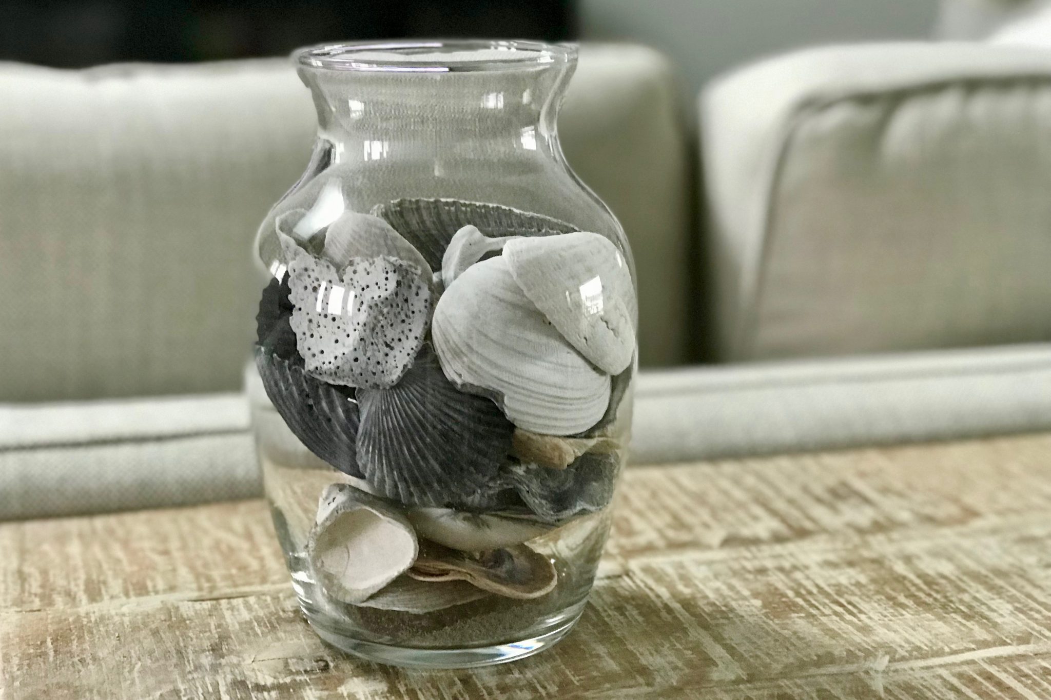 clean seashells in a glass container