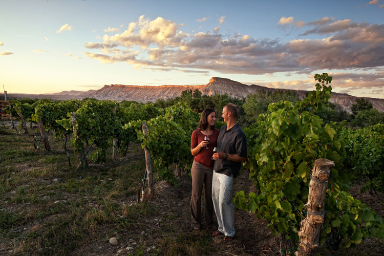 9 Free Things to Do in Grand Junction, Colorado She Buys Travel