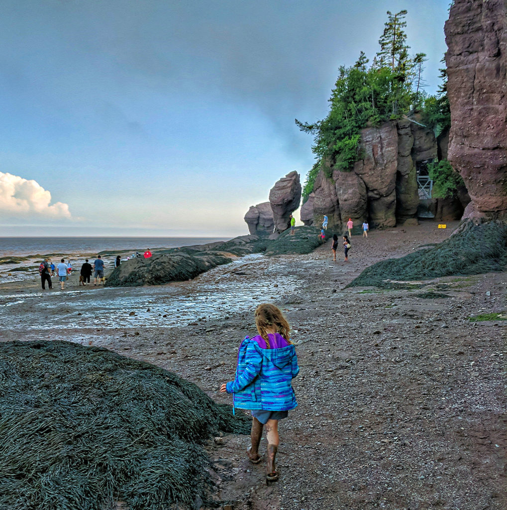 Hopewell Rocks Adventure: Unique Tide Experiences