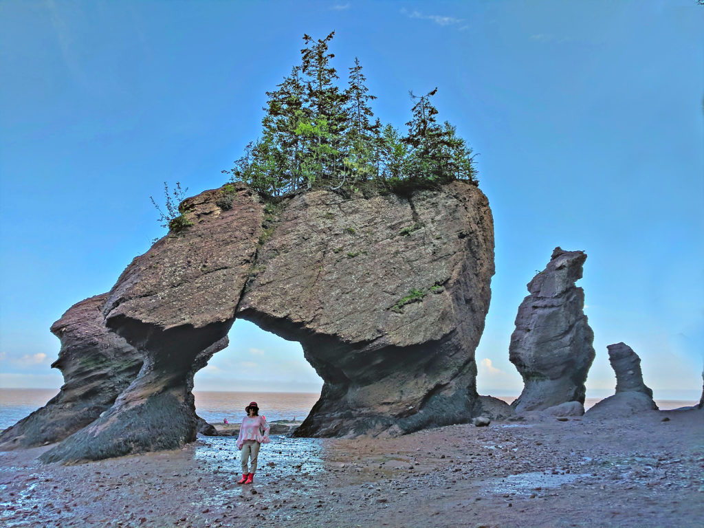 Hopewell Rocks Adventure: Unique Tide Experiences