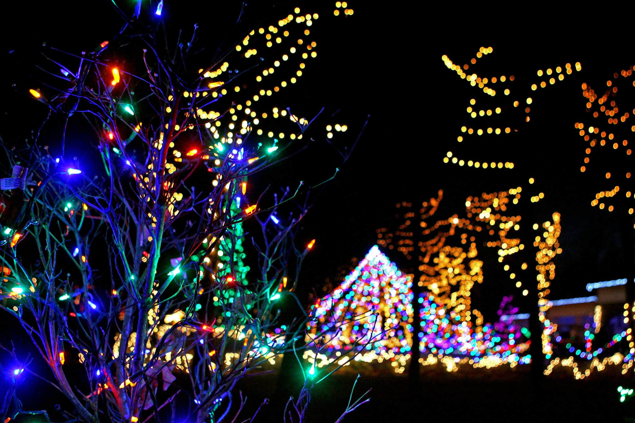 Best Christmas Lights Displays in the Midwest | SheBuysTravel