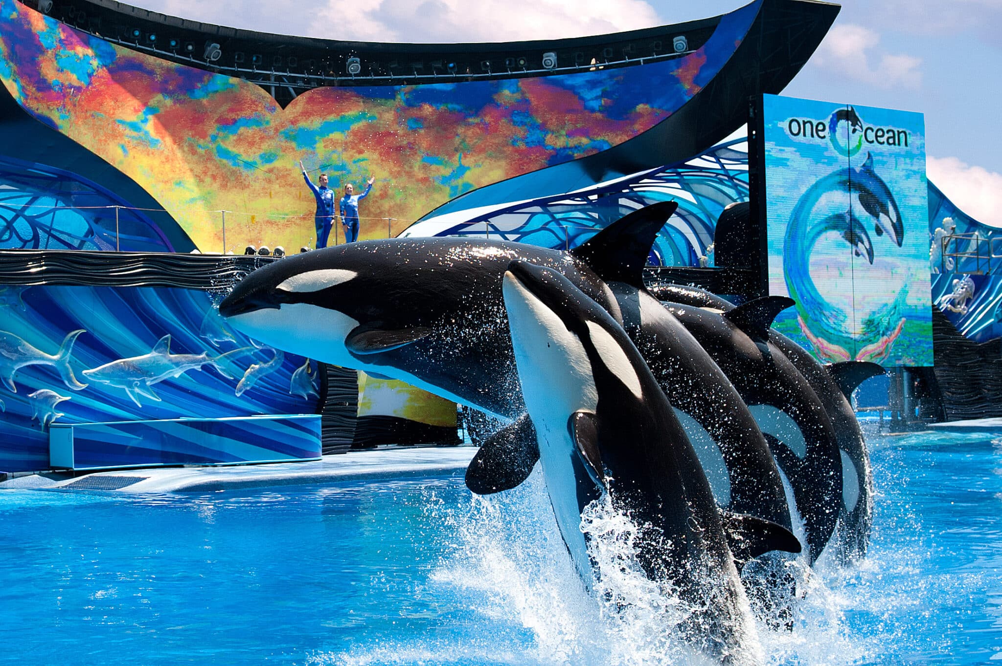 Orlando Military Discounts at SeaWorld Orlando