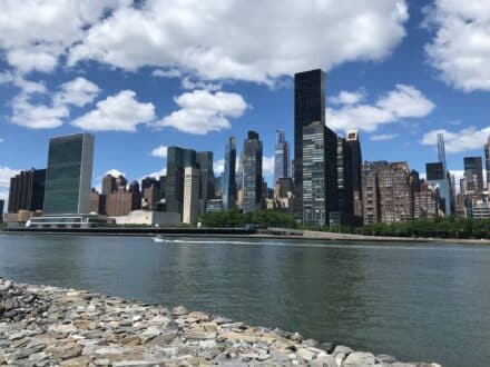 Best Time to Visit New York | Plan Your Getaway with SheBuysTravel