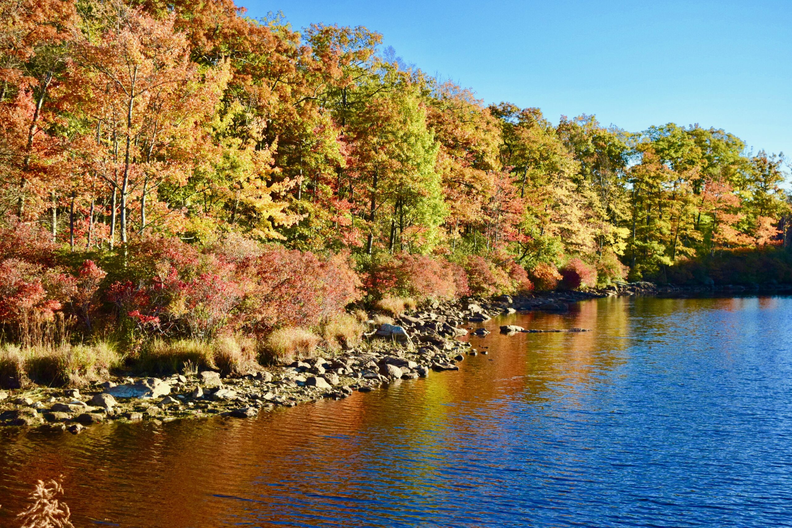 22 Best Fall Vacations in the US That Will Make You See Red (and Yellow and Orange)