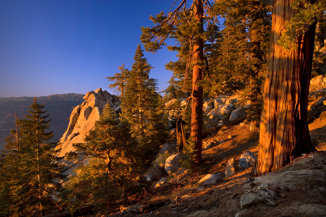 Palm Spring Aerial Tramway view