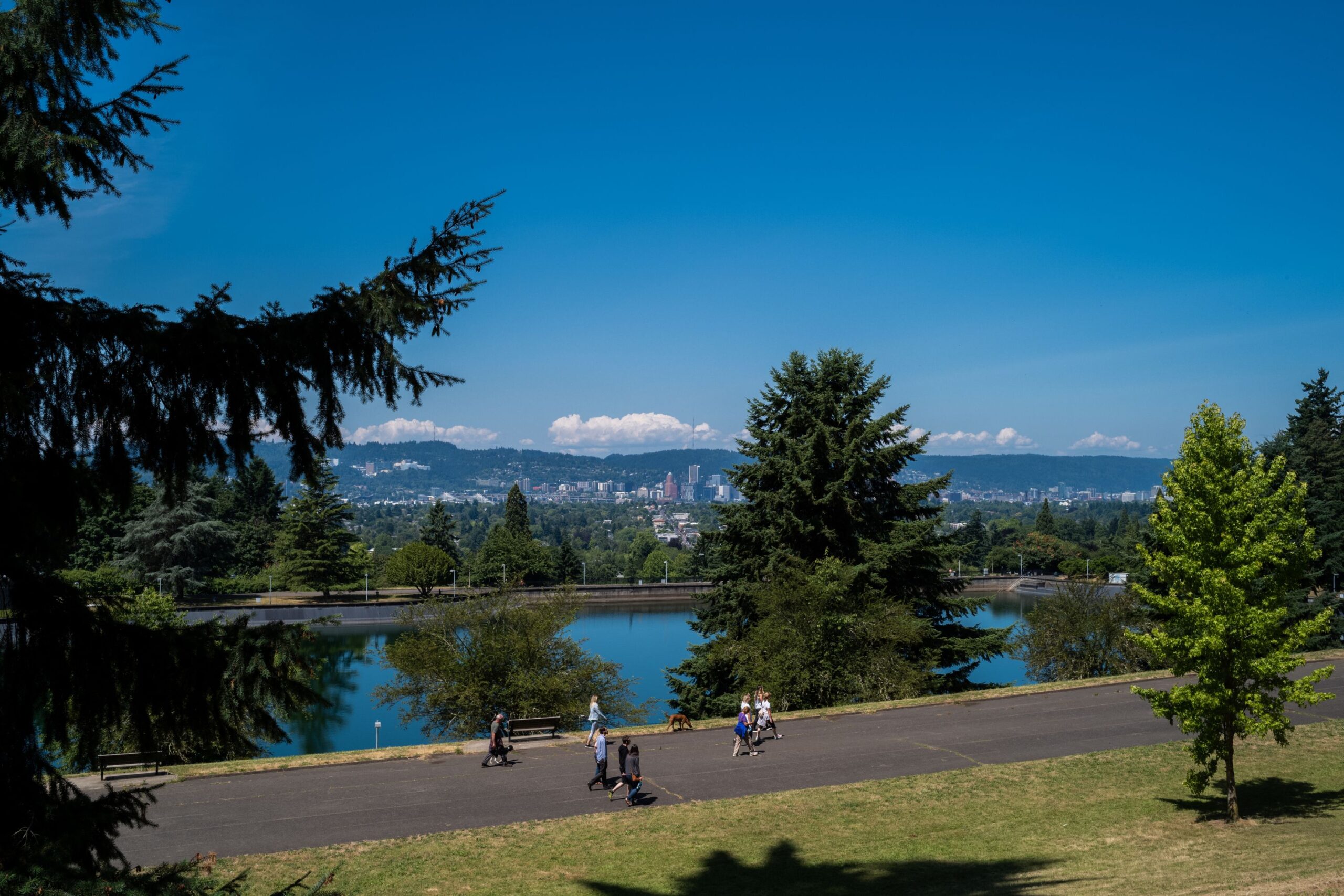 natural beauty in the pacific northwest