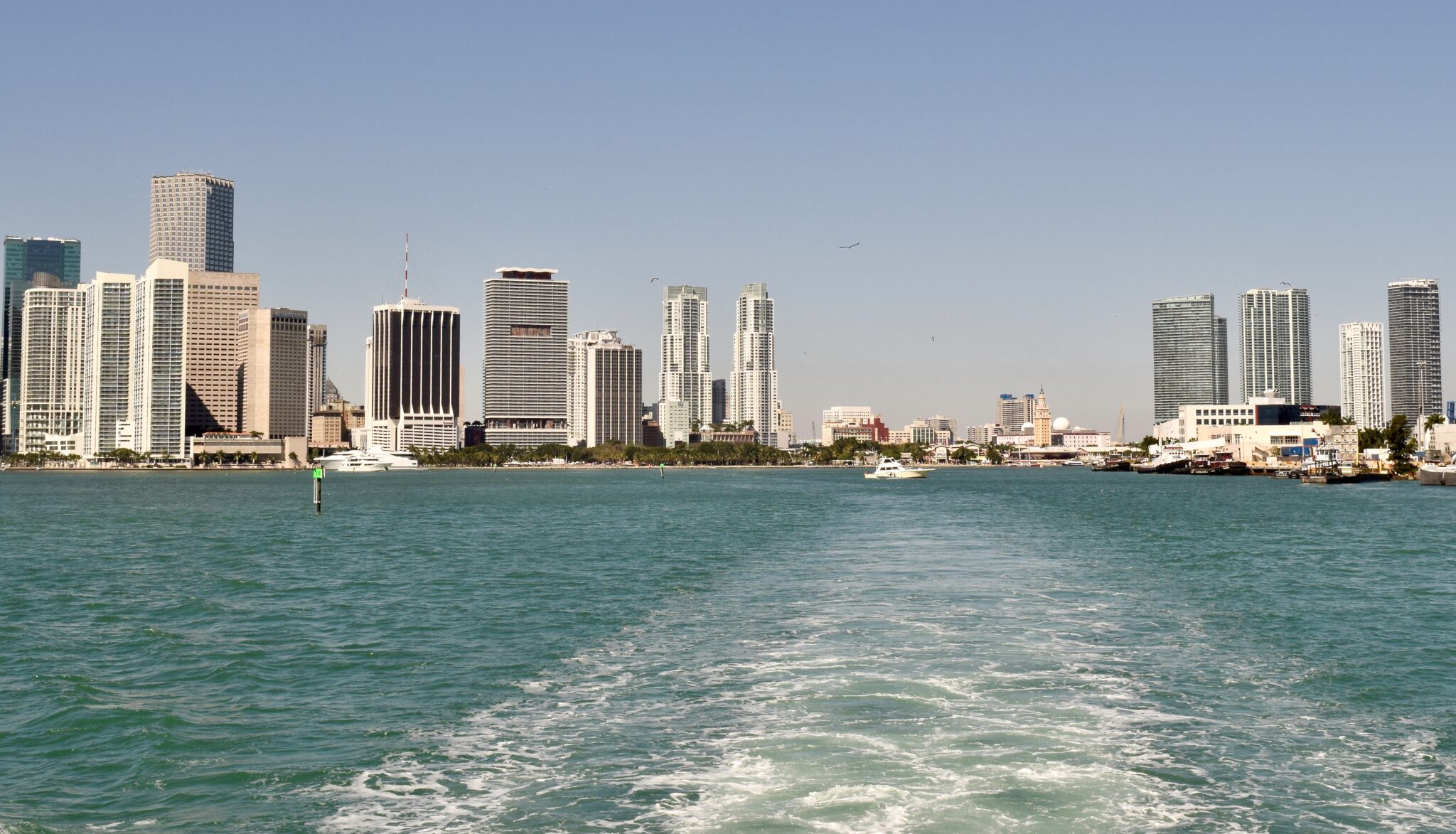 Miami skyline view from the back of a boat, one of the best free things to see in Miami with kids