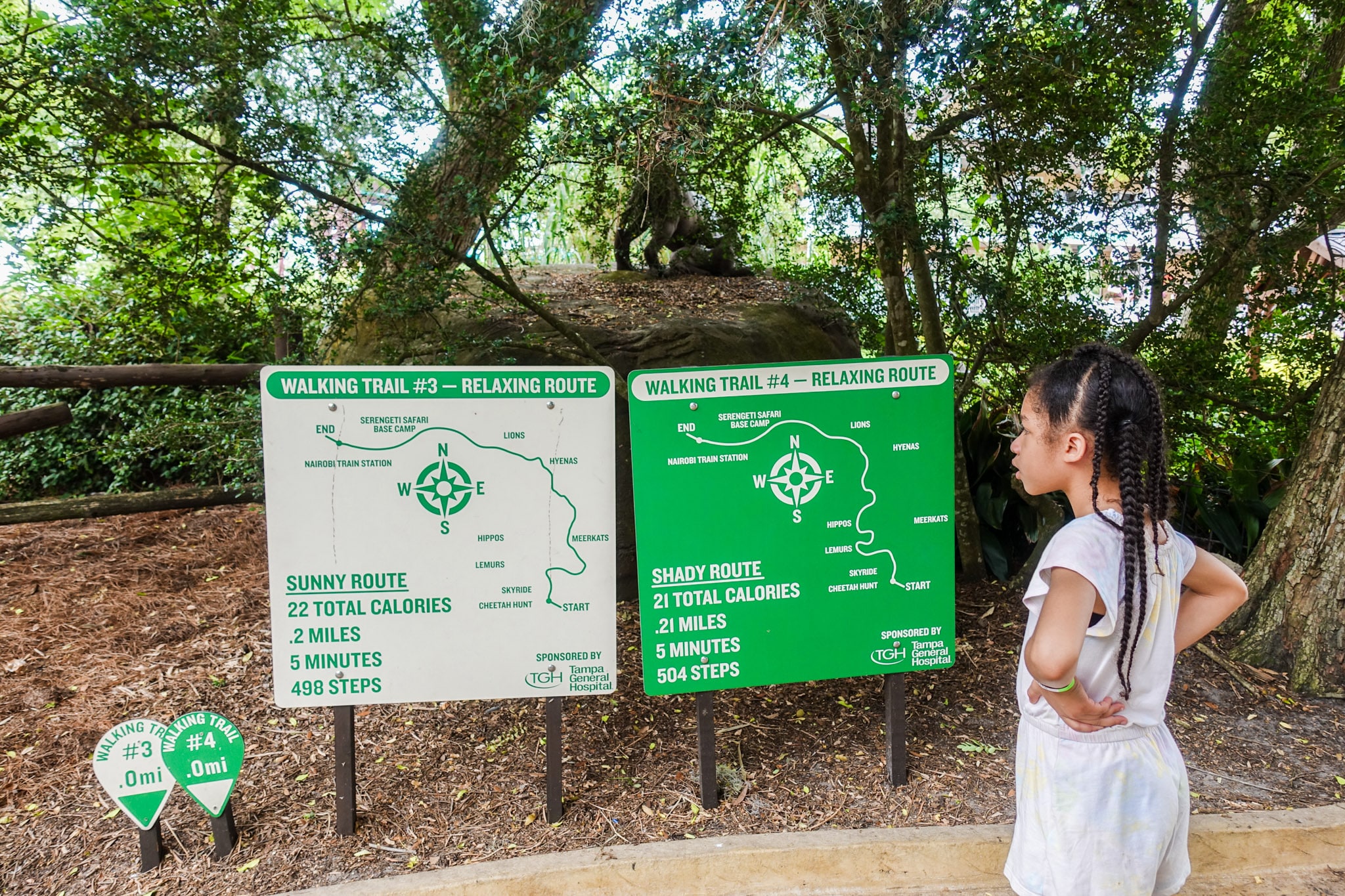 Busch Gardens Tampa Child Swap Fasci Garden