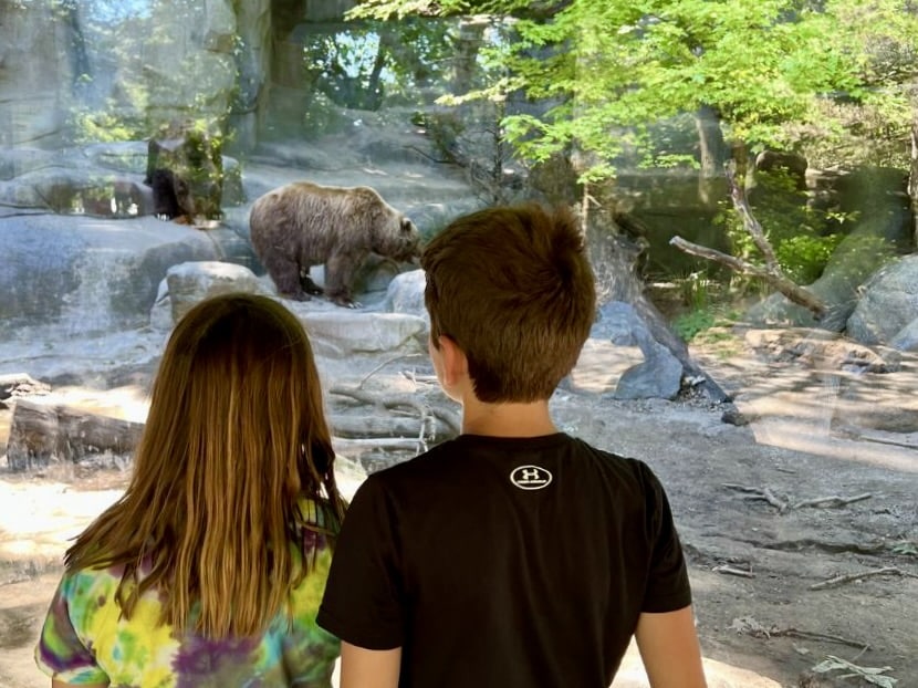 Want Wildlife? Check Out the 10 Best Zoos in Michigan