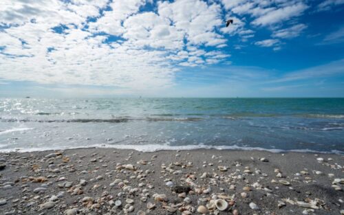 12 Best Florida Weekend Getaways for Solo Travelers, Friends and Families