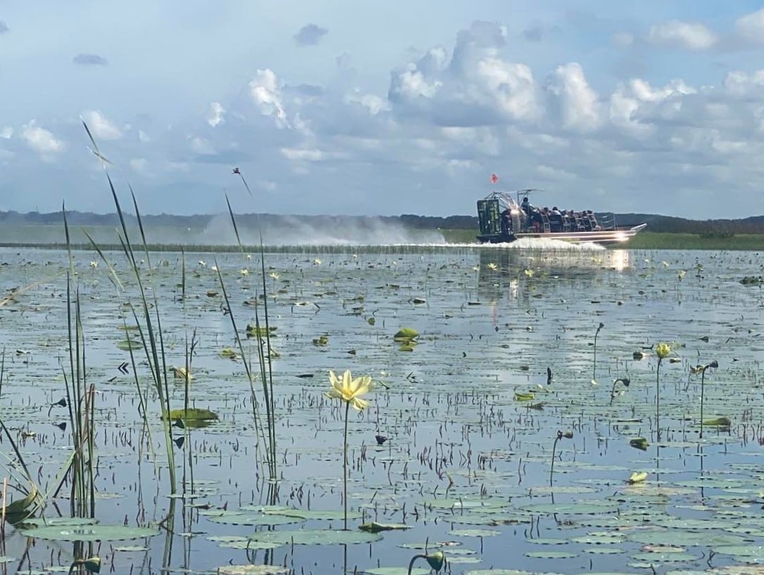 An airboat gliding over Boggy Creek.