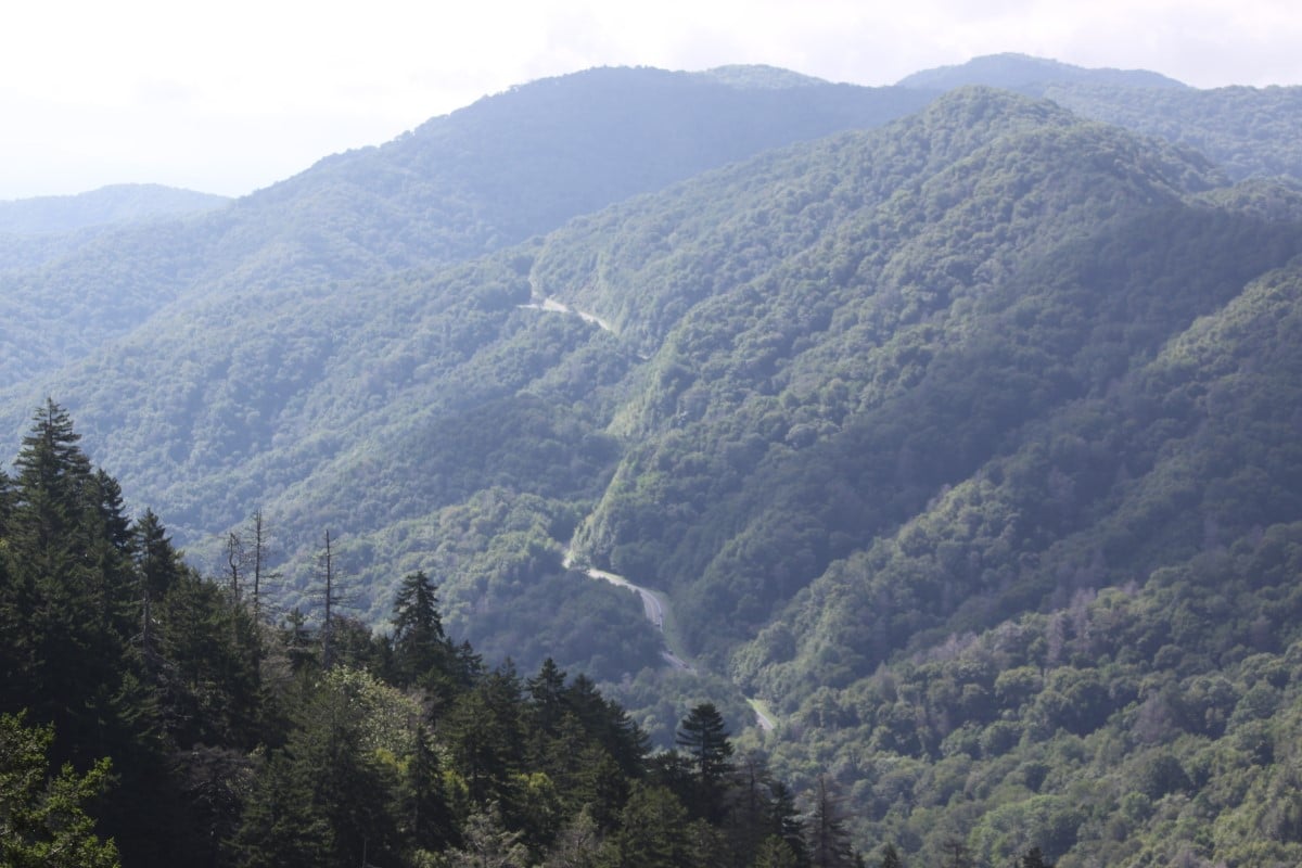 Spacious Skies Campground Bear Den - Looking down into a valley from Blue Ridge Parkway near Mount Mitchell 