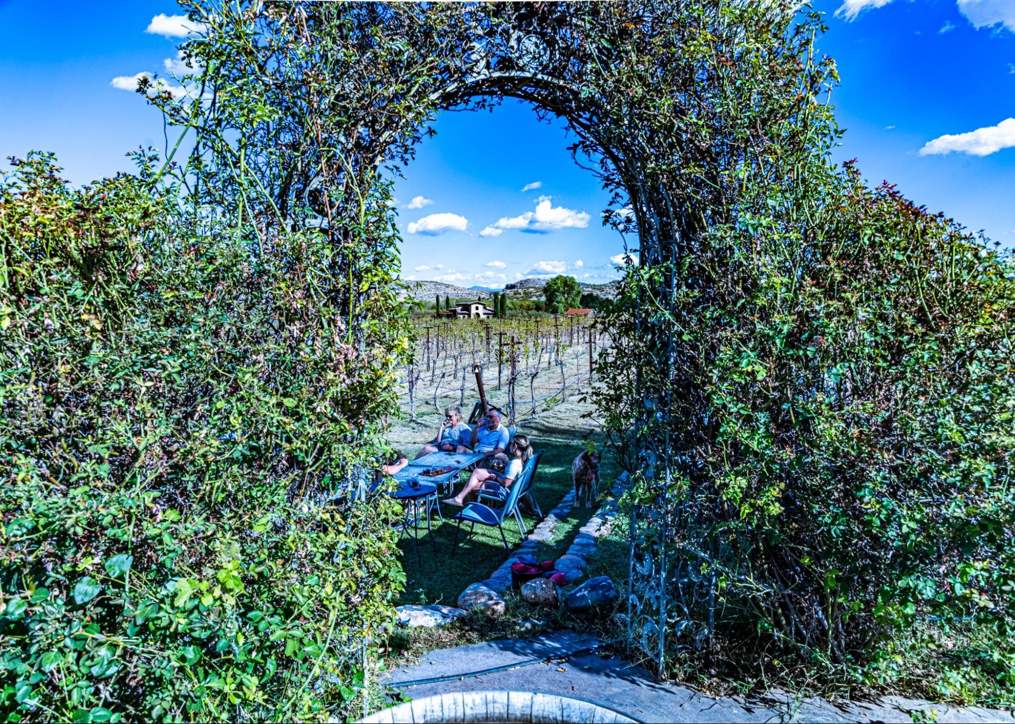 Wineries in Phoenix, Arizona - A grape arbor leads the way to a quiet lawn area for wine tasting.