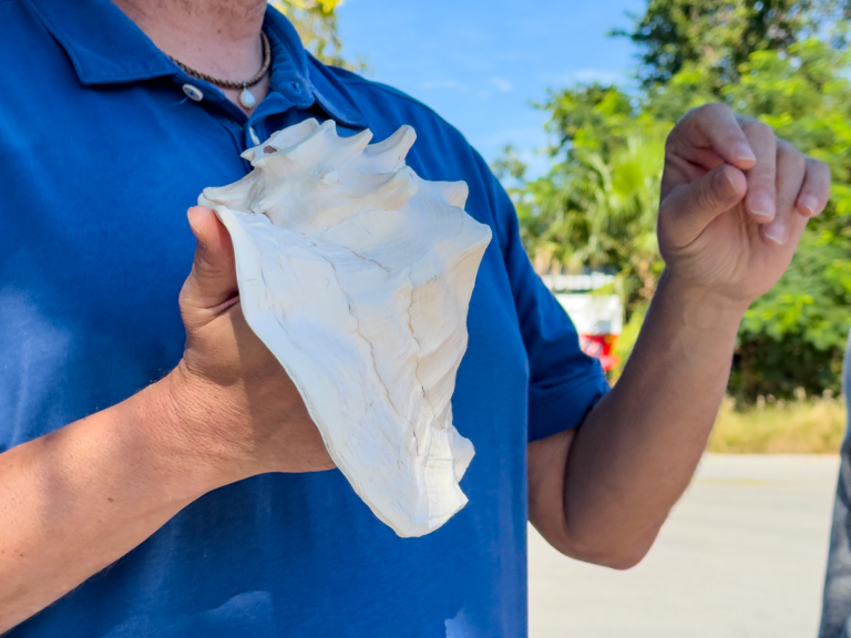 Best Things to Do on Islamorada in The Florida Keys