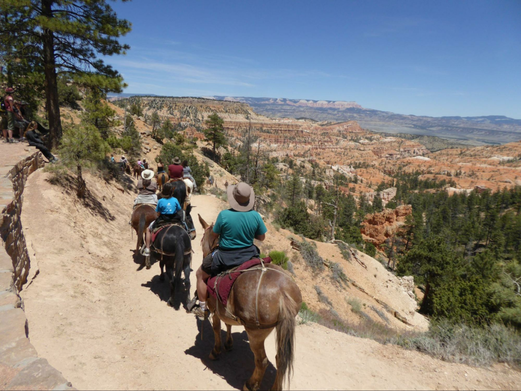 Tour the Bryce Canyon National Park near Panguitch, Utah on a horseback.