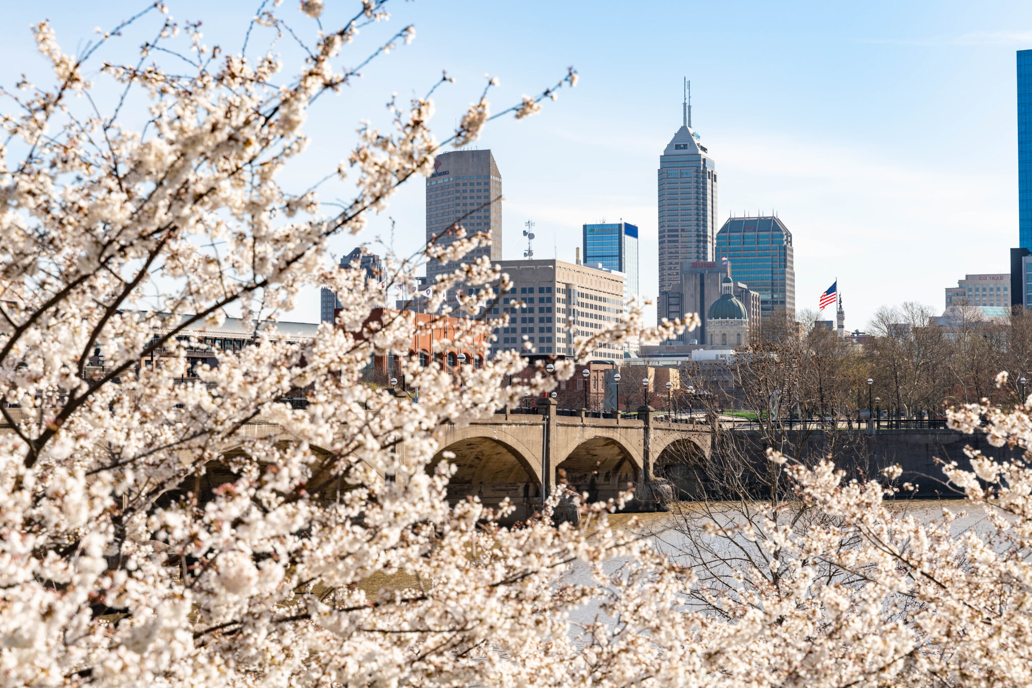 Best Cherry Blossom Destinations Worth Traveling For | SheBuysTravel