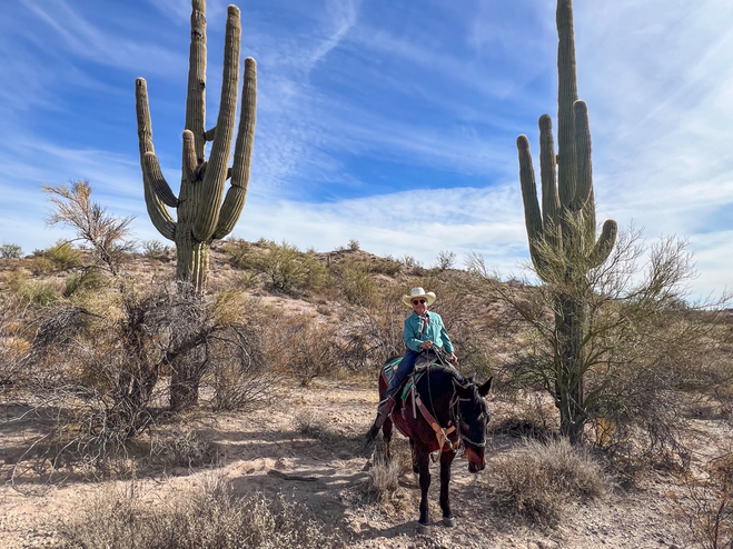 Julie, the author, on Snip in the Sonoran Desert.