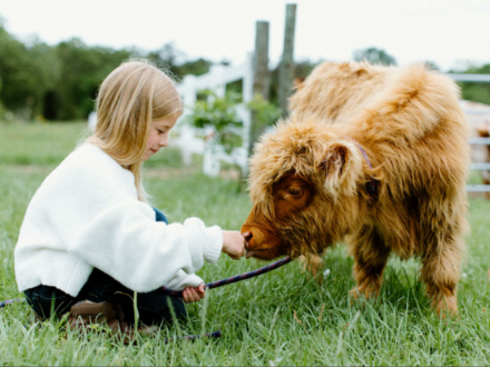 Family-Friendly Animal Encounters Brenham Adventures SheBuysTravel