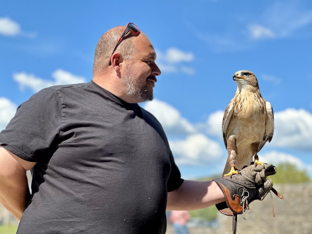 Falconer with bird at Chateau de Commarin in Burgundy.
