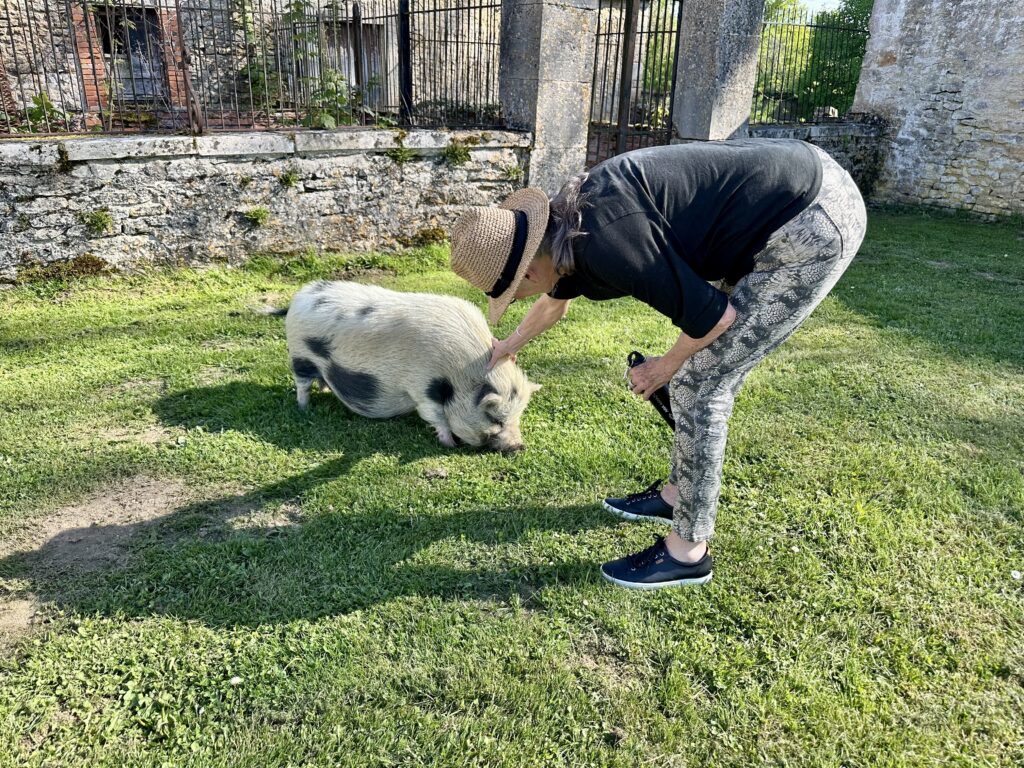 A woman petting a pig.