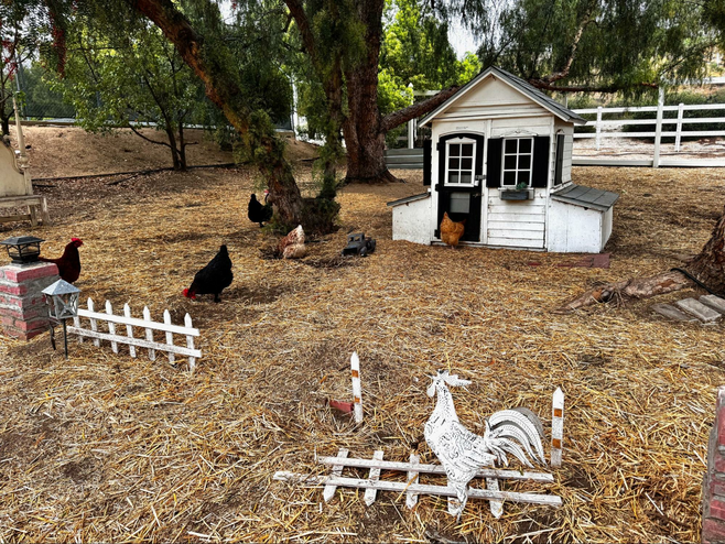 A chicken coop at The Vine House B&B.
