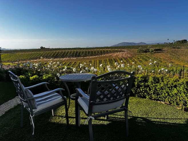 The vineyard at Domaine Chardonnay Winery.