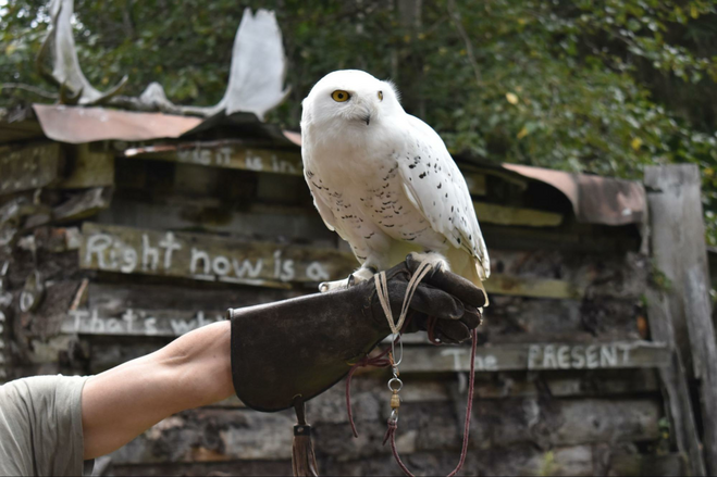 A guest holding an owl at the Kroschel Wildlife Refuge.