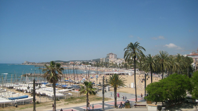 Beach with palm trees and town and church at the backdrop.