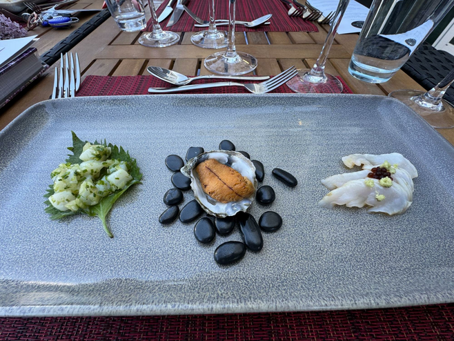 Tray with a trio of dishes, leaf with scallops, rocks with oyster shell on top, and crudo.