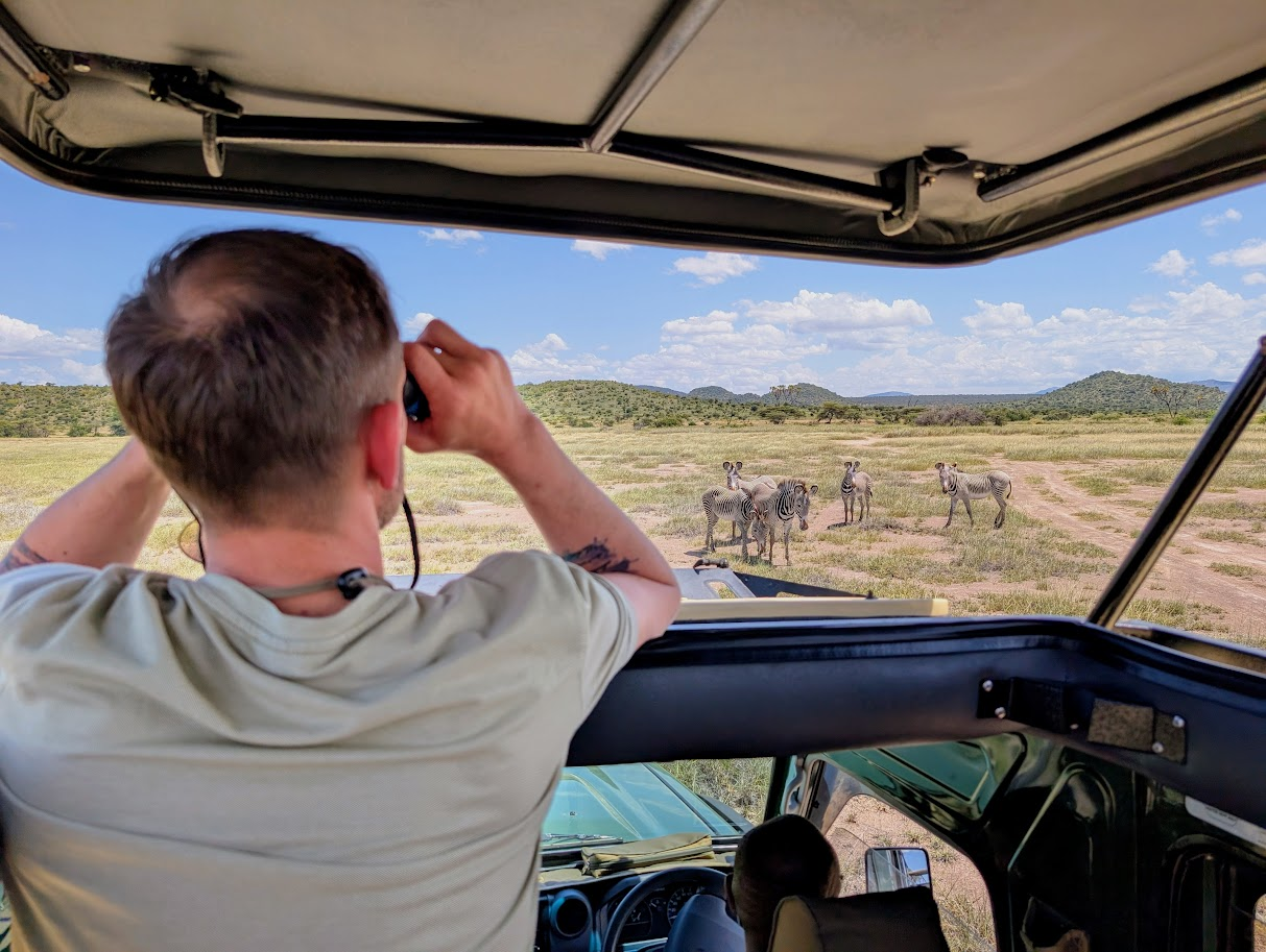 Man standing in a safari vehicle, waching a dazzle of zebras through binoculars.