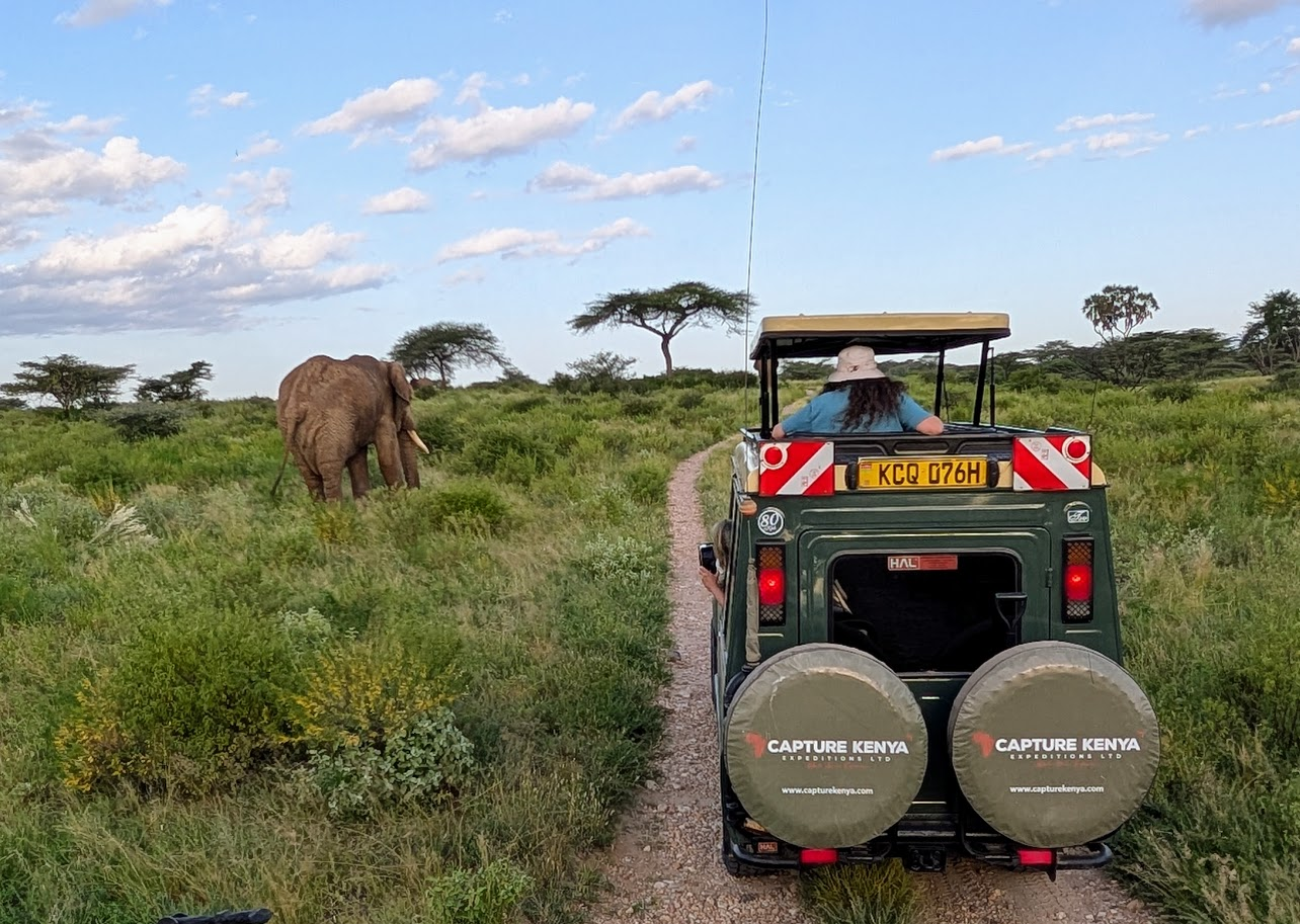 A Capture Kenya safari truck drives next to a lone elephant in Kenya.