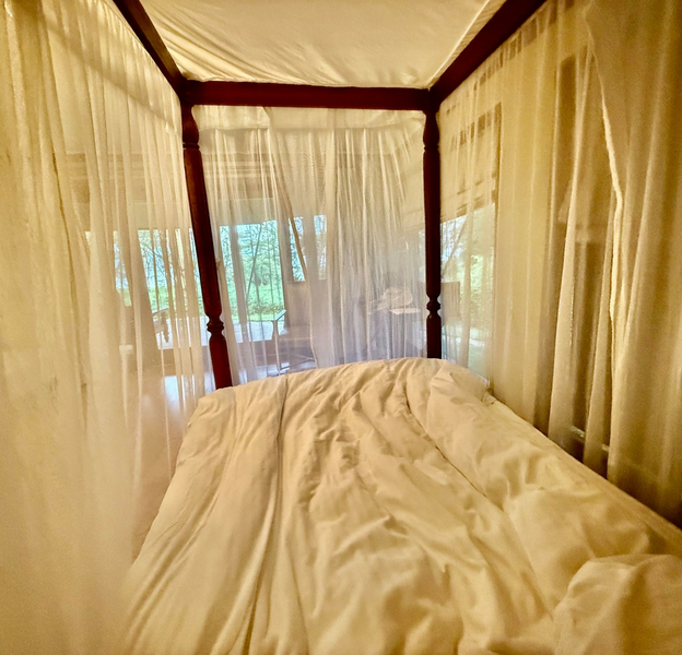 Gauzy mosquito netting surrounds a bed completely, wrapping around and above the four posters. Daylight shines through in a room with a lake view. 