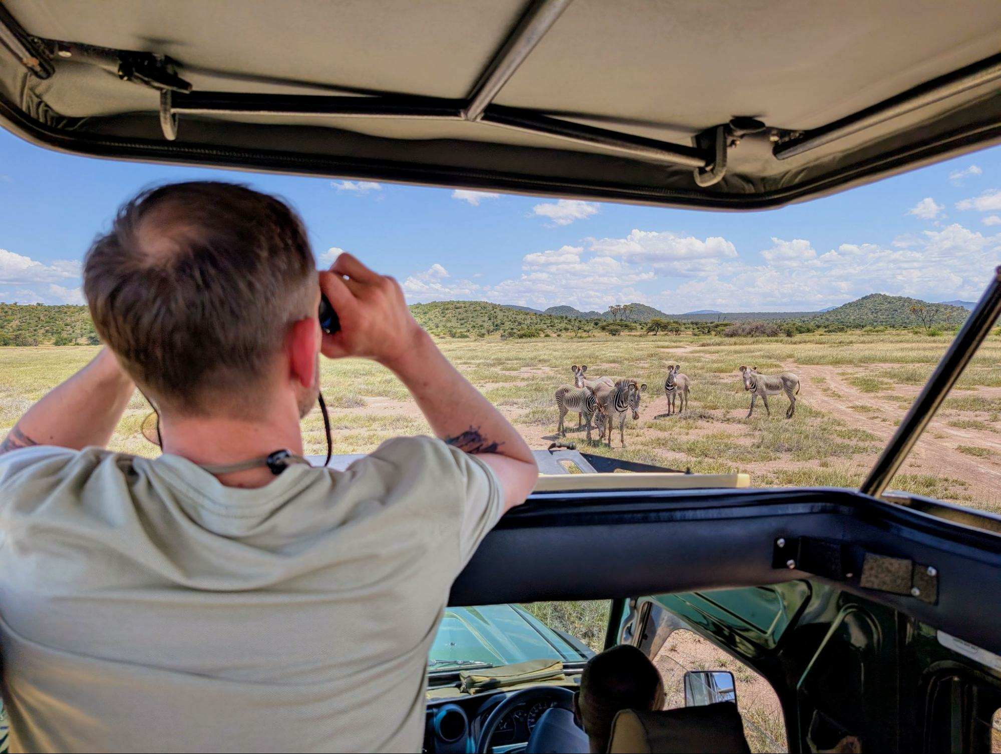 Man in a safari vehicle watches Grevy's zebras through binoculars at Samburu National Reserve in Kenya