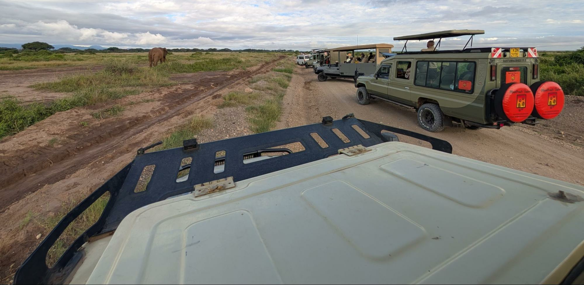 Several safari vehicles lined up watching an elephant walk across the savanna in Kenya