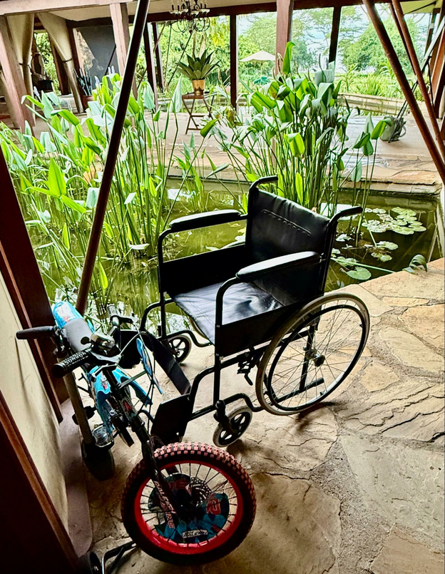One wheelchair and a kid-sized bike rest next to a small pond with tall grasses and a few lily pads in a safari lodge lobby.