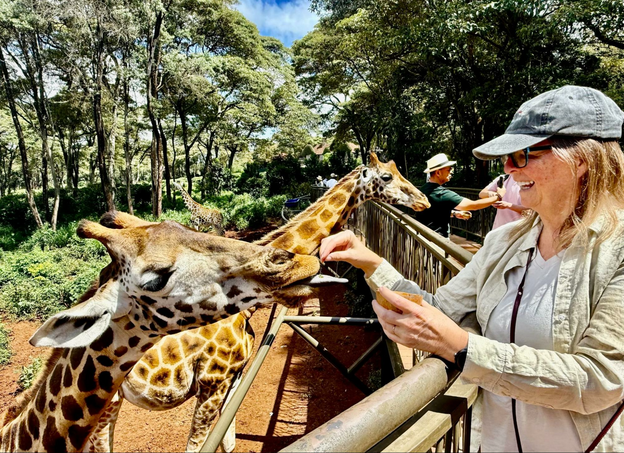 Smiling woman in khaki clothes and a grey baseball cap places tiny pellets on the extended tongue of a giraffe. Trees fill the background with a touch of blue sky, and a railing and waist-high fence separate them.