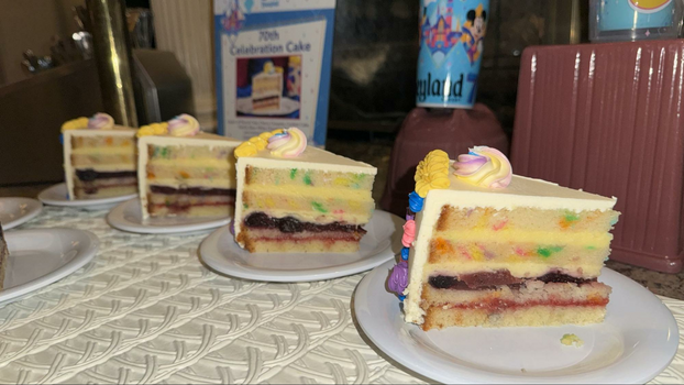 Layers of cake with frosting and vibrant dollops on the outside.