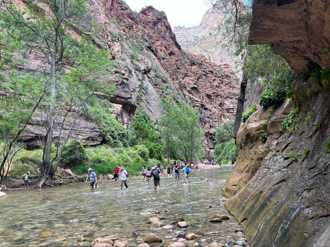 A dozen hikers walk in a narrow rocky river surrounded by tall canyon walls.
