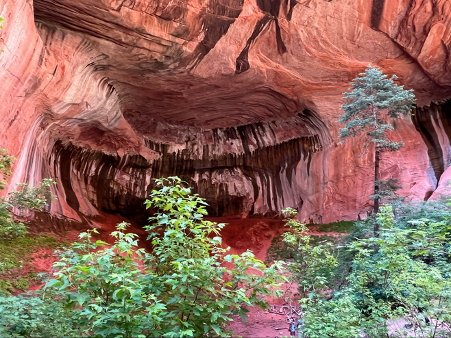 Green trees in the foreground of a red rock arch-shaped cave with cream and brown stripes.