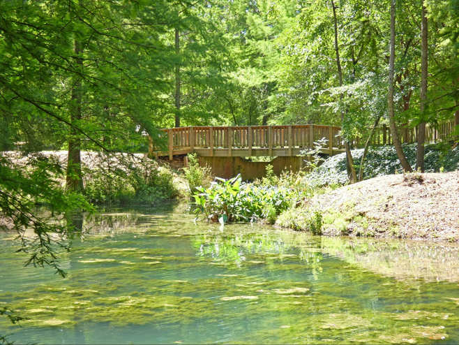 Wooden bridge over a stream at Hopelands Garden