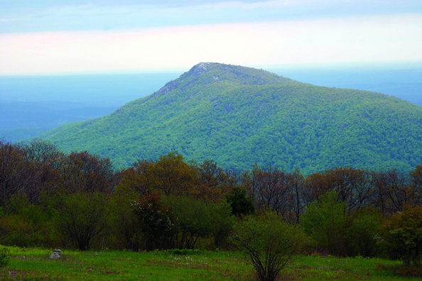 Mountain peak poking through forested slopes.