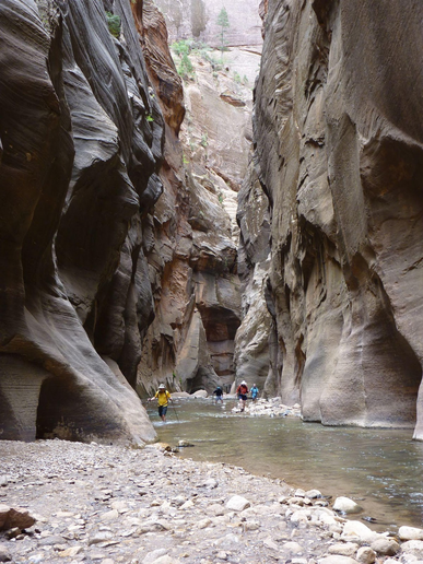 Hikers walk through the water in a narrow canyon