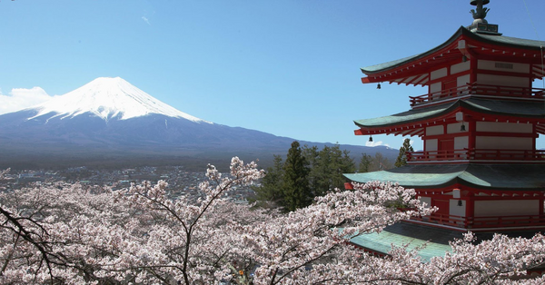 Japanese shrine and blooming cherry trees with Mount Fuji Rising in the distance.