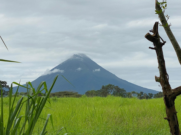 Looking through a verdant green field at distant volcano rising to the cluods from the jungle.